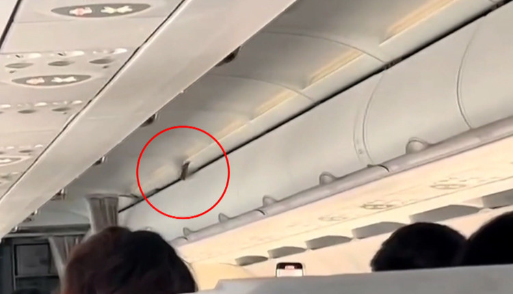 Sparrow flew into the plane: Passengers fear in the distance - Polimer ...