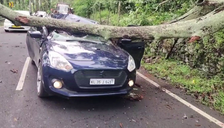 கார் மீது மரம் முறிந்து விழுந்து விபத்து.. அதிர்ஷ்டவசமாக உயிர் தப்பிய கேரள சுற்றுலா பயணிகள்