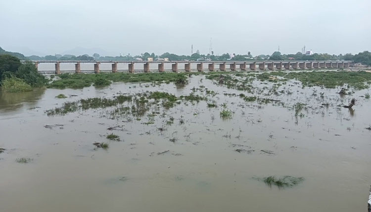 ஸ்ரீவைகுண்டம் தடுப்பணையில் இருந்து கடலில் கலக்கும் நீர்