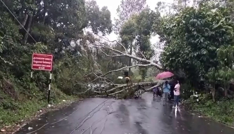 ஃபெஞ்சல் புயல் காரணமாக ஏற்காடு சுற்றுவட்டாரத்தில் மழை..