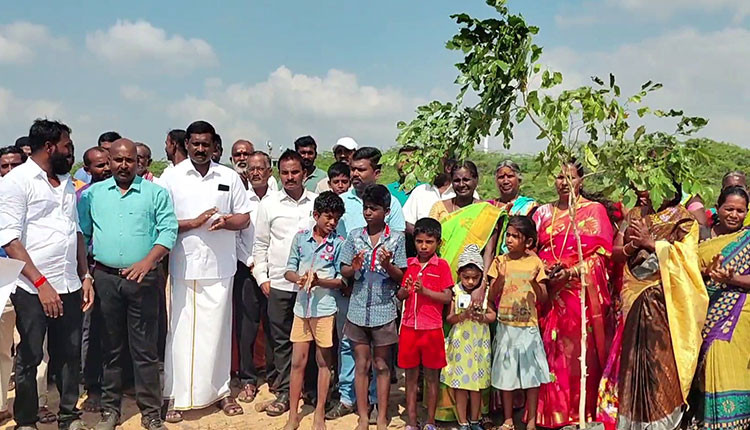 நெல்லையில் மண் அரிப்பை தடுக்க கடற்கரைப் பகுதியில் நடப்பட்ட மரக்கன்றுகள்