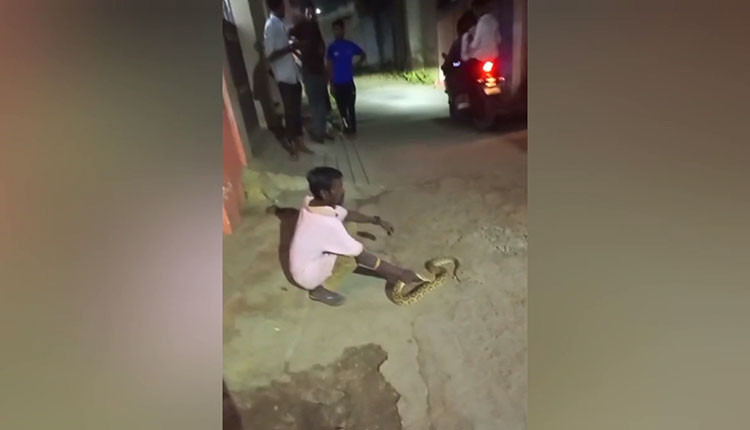 மதுபோதையில் பாம்பை பிடித்து சாகசம் செய்து உயிரை இழந்த பரிதாபம்..