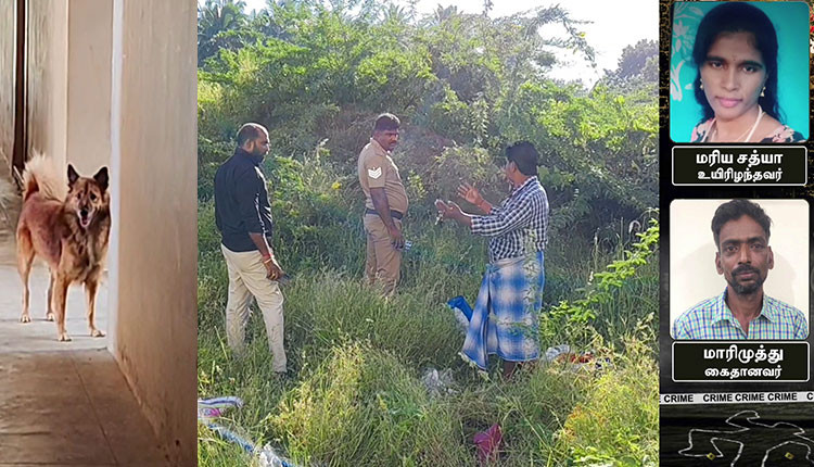 கன்னியாகுமரியில் மனைவியை கொன்ற நபர் தெருநாய் கவ்வி பிடித்ததால் பிடிபட்டார்